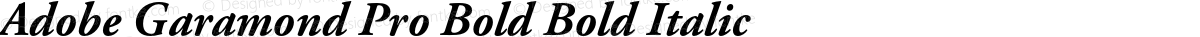 Adobe Garamond Pro Bold Bold Italic