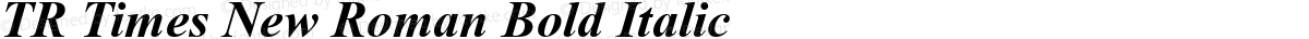 TR Times New Roman Bold Italic