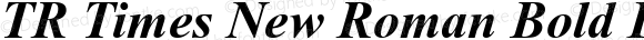 TR Times New Roman Bold Italic