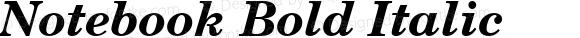 Notebook Bold Italic