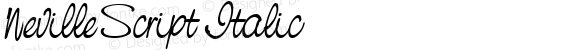 NevilleScript Italic