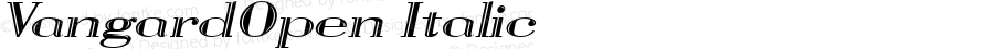 VangardOpen Italic