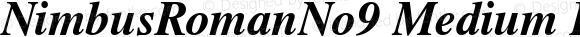 NimbusRomanNo9 Medium Italic