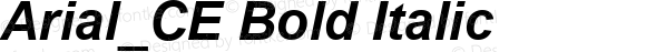 Arial_CE Bold Italic MS core font:v2.00