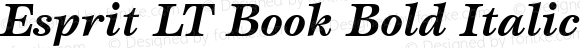Esprit LT Book Bold Italic