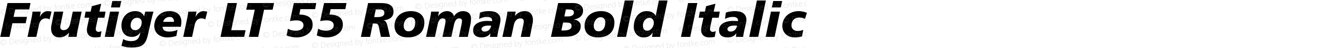 Frutiger LT 55 Roman Bold Italic