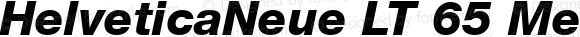 HelveticaNeue LT 65 Medium Bold Italic