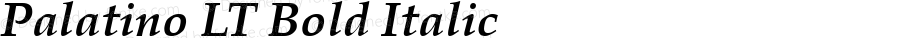 Palatino LT Bold Italic