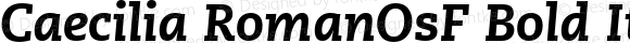 PMN Caecilia 86 Heavy Italic Oldstyle Figures