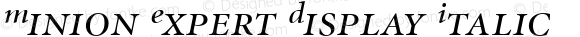 Minion Expert Display Italic