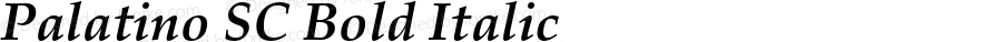 Palatino Bold Italic Old Style Figures