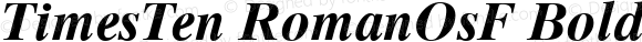 TimesTen RomanOsF Bold Italic