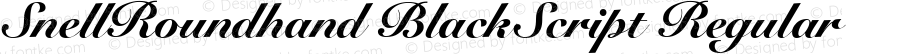 Snell Roundhand Black Script