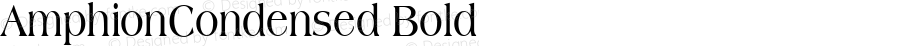 AmphionCondensed Bold also Copyright (c)1996 WIZ Technology, Inc., Licensed from the WSI-Fonts/Professional Collection