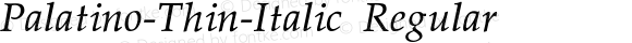 Palatino-Thin-Italic