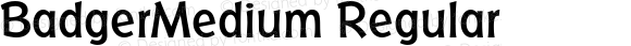 BadgerMedium Regular Macromedia Fontographer 4.1 5/2/03
