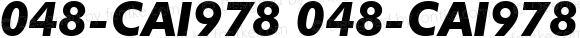 048-CAI978 048-CAI978 Version 1.00 November 26, 1998, initial release