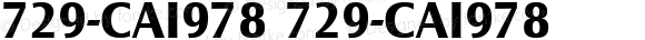 729-CAI978