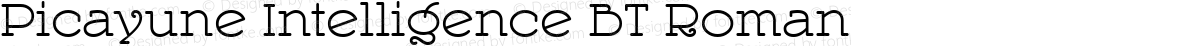 Picayune Intelligence BT Roman