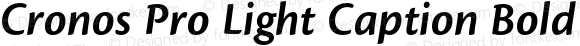 Cronos Pro Light Caption Bold Italic