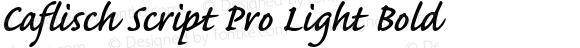 Caflisch Script Pro Light Bold