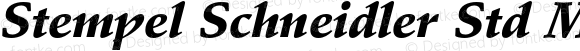 Stempel Schneidler Std Medium Bold Italic