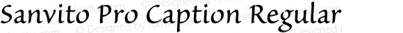 Sanvito Pro Caption Regular OTF 1.003;PS 001.001;Core 1.0.31;makeotf.lib1.4.1585