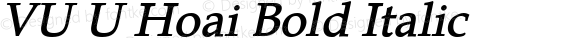 VU U Hoai Bold Italic