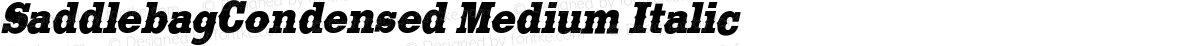 SaddlebagCondensed Medium Italic
