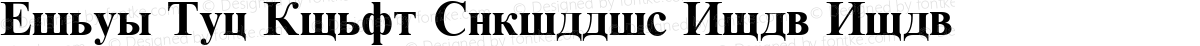 Times New Roman Cyrillic Bold Bold