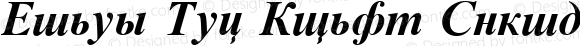 Times New Roman Cyrillic Bold Inclined Bold Italic