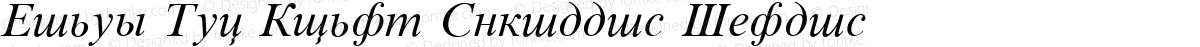 Times New Roman Cyrillic Italic