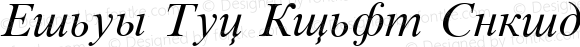 Times New Roman Cyrillic Italic 3