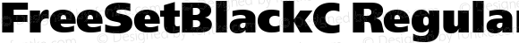 PT FreeSet Black Cyrillic