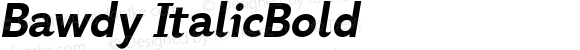 Bawdy Bold Italic