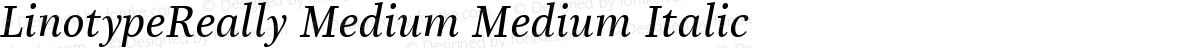 LinotypeReally Medium Medium Italic