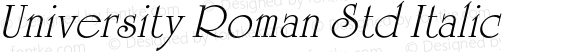 University Roman Std Italic