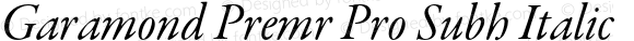 Garamond Premr Pro Subh Italic