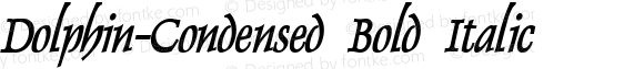 Dolphin-Condensed Bold Italic
