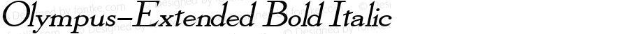 Olympus-Extended Bold Italic