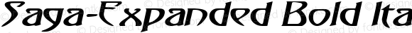 Saga-Expanded Bold Italic