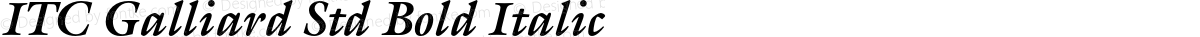 ITC Galliard Std Bold Italic