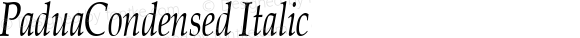 PaduaCondensed Italic