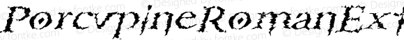 PorcupineRomanExtended Italic