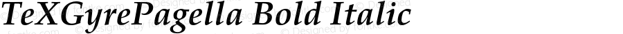 TeXGyrePagella Bold Italic