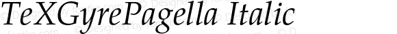 TeXGyrePagella Italic
