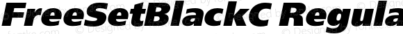 FreeSetBlackC-Italic