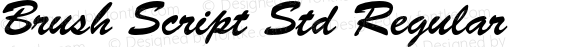 Brush Script Std Regular