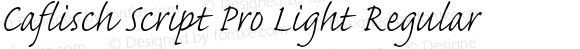 Caflisch Script Pro Light Regular OTF 1.010;PS 1.000;Core 1.0.30;makeotf.lib1.4.1030
