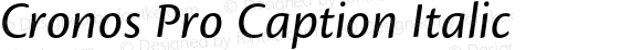 Cronos Pro Caption Italic